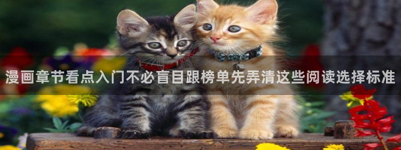 漫蛙漫画网站入口导航