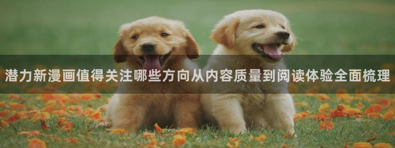 漫蛙漫画网页最新地址